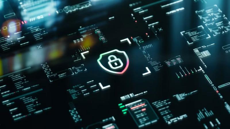 金昌软件开发公司